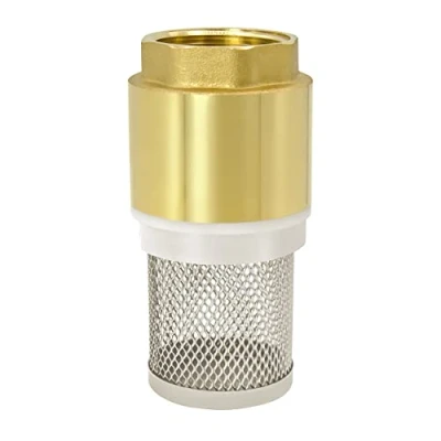Image of Variosan 14146 Foot Valve 3/4 Inch Check Valve, Brass, Stainless Steel Basket