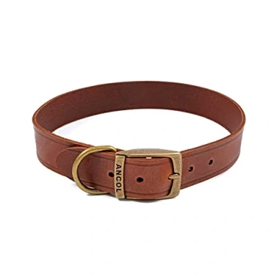 Image of ANCOL Latigo Flexible Stretchy Chestnut Collar Animal Pet Training Accessory 55 63 cm, Size 8