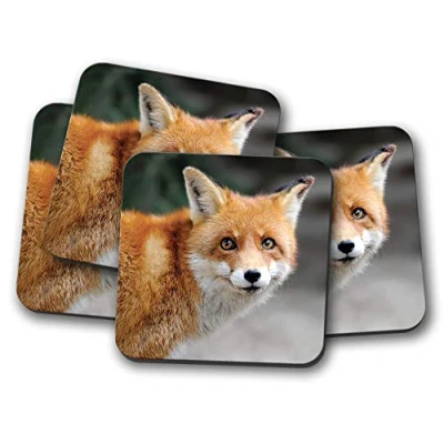 Image of 4 Set Ginger Fox Coaster Wild Animal Urban Foxes Cute Pretty #8584