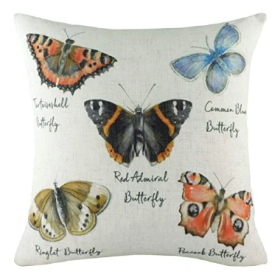 Image of Evans Lichfield Species Butterfly Feather Filled Cushion, Multi, 43 x 43cm