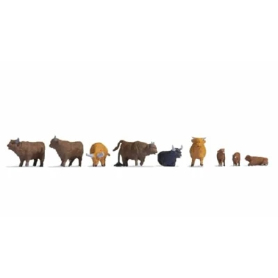 Image of Noch 15728 Highland Cattle