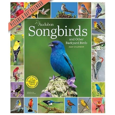 Image of Audubon Songbirds and Other Backyard Birds Picture A Day Wall Calendar 2023: Beautiful Bird Filled Way to Keep Track of 2023