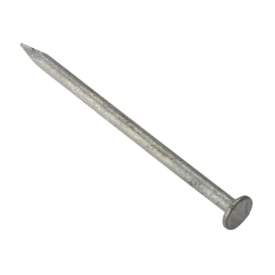 Image of Forgefix RH50GB500 500g Galvanised Round Head Nail