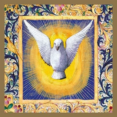 Image of Museums &amp; Galleries Christmas Cards Pack of 8 The Holy Spirit White Dove Eco Friendly Recyclable