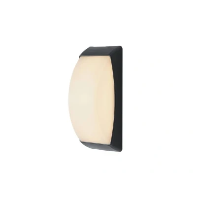 Image of Lindby Alexey LED outdoor wall lamp, IP65, dark grey
