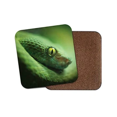 Image of 1 x Green Snake Coaster Reptile Snakes Skin Eye Wild Fun #8838