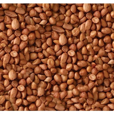 Image of Peanuts for Wild Birds 25kg High Energy Food, Protein Feed, Rich in Fats and Fibre, Great Hanging Feeders, Bird Tables Ground Feeding, Bulk Bag Buzzby&#039;s