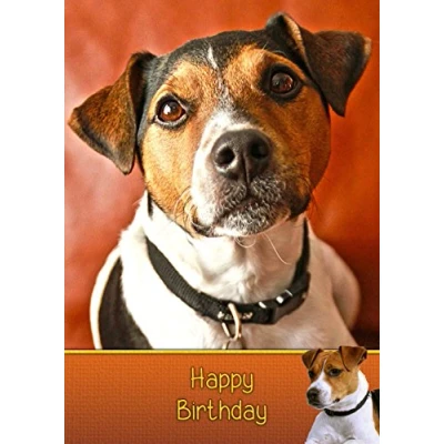 Image of Jack Russell Birthday Card