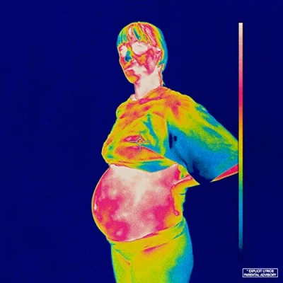 Image of Brockhampton Iridescence Clear vinyl 2018 USA 2 LP set 19075 90439 1