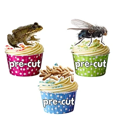 Image of AK Giftshop PRE CUT Halloween Creepy Crawlies Party Pack Edible Cupcake Toppers/Cake Decorations (Pack of 36)