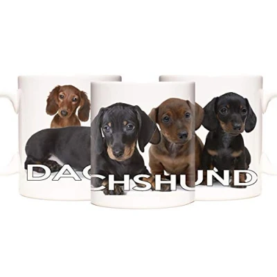 Image of KAZMUGZ Dachshund Dog Mug, 11oz ceramic mug with four cute pictures of Sausage Dogs. gift
