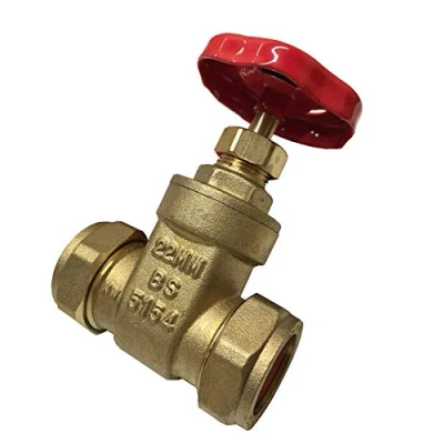 Image of 22mm Gate Valve