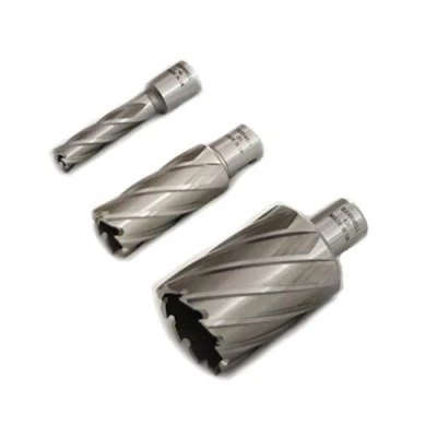 Image of Barnwell Long Annular HSS Broach Hole Bit Cutter For Mag Drill Rotabroach (25mm)
