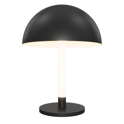 Image of Maytoni Ray LED table lamp