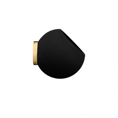 Image of AYTM Globe wall flower pot, Ø 17 cm, black, aluminium