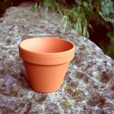Image of Weston Mill Pottery [F8] Small terracotta plant pots (pack of 10) 80mm diameter x 70mm high