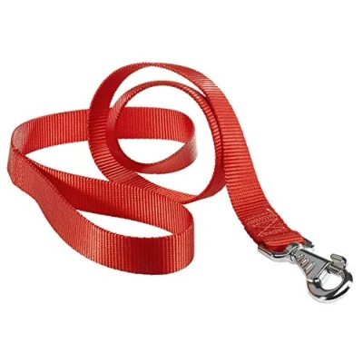 Image of Ferplast Club G25/120 Nylon Lead for Dogs