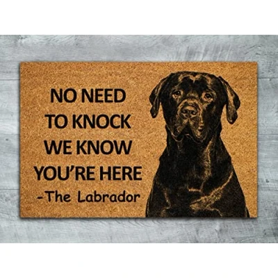 Image of Ensound The Labrador Door Mat,Chocolate We Know You are Here Rottweiler Dogs Mats,Funny Doormat,Welcome Mats 36x24 Inch
