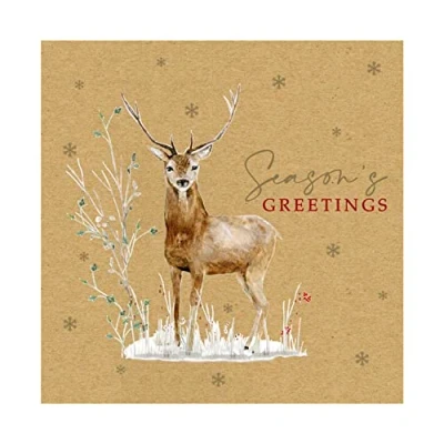 Image of Eurowrap Pack of 12 Assorted Christmas Cards Xmas Stag, Made from 100% Recycled Paper, 2 Designs Merry and Seasonal Greetings