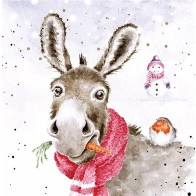 Image of Wrendale Designs by Hannah Dale Muletide Greetings Christmas Card Box Set Pack of 8