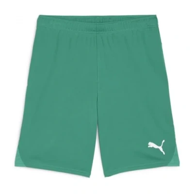 Image of Puma Teamgoal JR Unisex Sports shorts for kids, Size: 7 8y, Gruenweiss