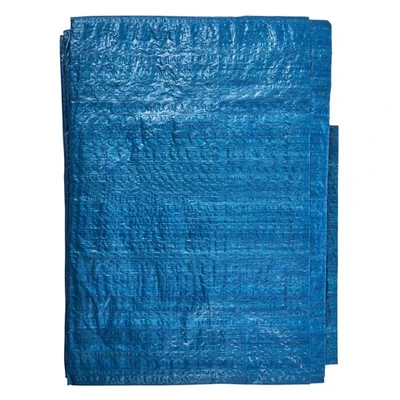 Image of Amtech S4800 365cm (12ft) x 245cm (8ft) Tarpaulin Blue