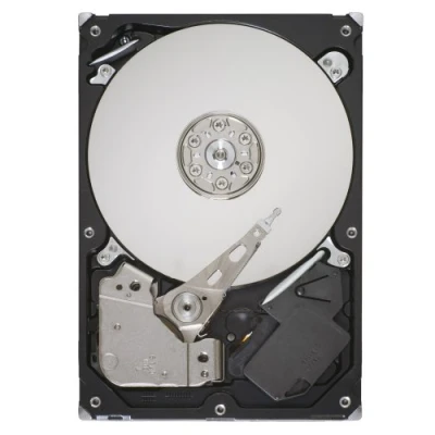 Image of Seagate ST31000528AS 1TB (SATA, 7200 RPM, Internal 3.5)