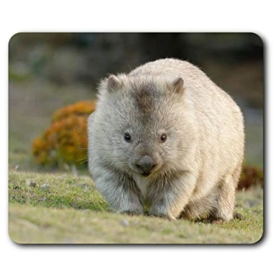 Image of Cute Wombat Australia Animal Mouse Mat Pad Computer PC Laptop Gaming Office Home Desk Accessory Gadget 2295
