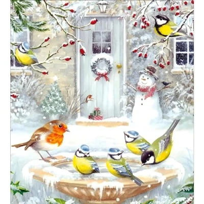Image of Charity Christmas Cards Age UK, British Heart Foundation, Marie Curie, Mind Pack of 5 Birds and Birdbath Made in the UK Eco Friendly