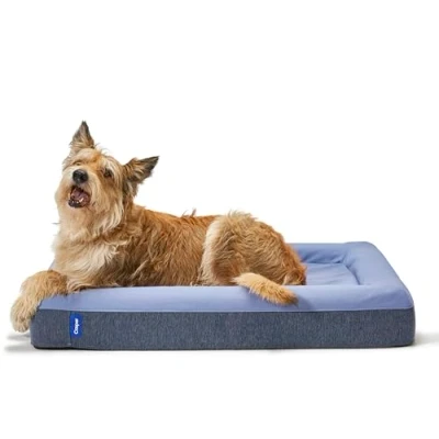 Image of Casper Dog Bed, Plush Memory Foam, Small, Blue