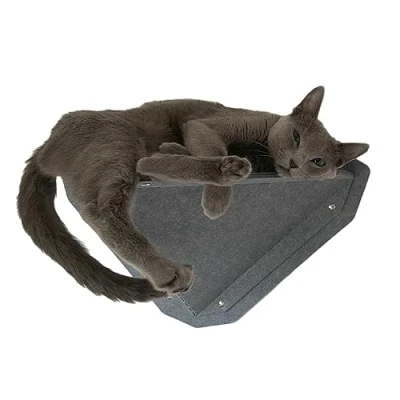 Image of MIUT Small Climber Cat Furniture, Wall Mounted Shelves, Mental Stimulation for Indoor Cats, Durable and Adjustable, Water Stain Resistant, Suitable Cats to Climb Play