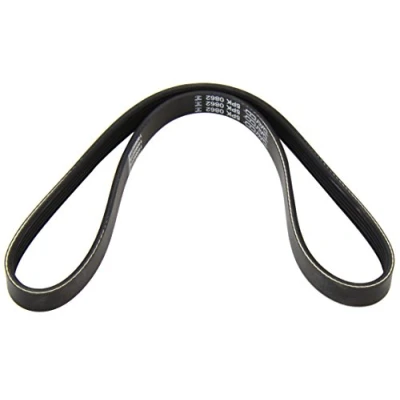Image of 5750SF V ribbed belt DAYCO 5PK862 862,0mm 5 BMW: Saloon, 3 Coupe, Convertible, CITROËN: Berlingo / First I