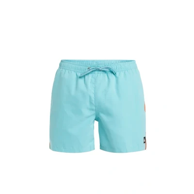 Image of Quiksilver Everyday Beach Swimming shorts, Men&#039;s, Size: Medium, Bha0