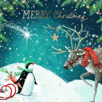 Image of Charity Christmas Cards Box of 20 BHF, Marie Curie, Parkinson&#039;s UK, Oxfam, The Stroke Association, NSPCC Penguin and Reindeer Artistic Design 10 Each 2 Designs Eco Friendly