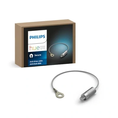 Image of Philips Hue Secure security cable, ideal complement for the surveillance cameras
