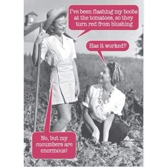 Image of Humorous Blank/Birthday Greeting Card Flashing My Boobs from The Twisty Range (WW P2458)