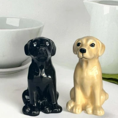Image of Lesser &amp; Pavey Salt Pepper Set for All Types of Kitchen Ceramic Shaker British Designed Lovely Pots Suitable Home (Labradors)