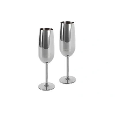 Image of ECHTWERK Champagne Flute Glass, Stainless Steel Flutes, Unbreakable Glasses, Party Glasses for Wedding/Birthday/Picnic, Gift Set, 2 Pieces, 250 ml, Silver Edition