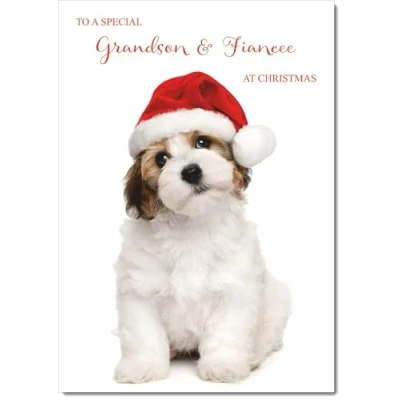 Image of doodlecards Grandson and Fiancee Christmas Card Dog Santa Hat Medium Size for &amp; with Plain Envelope