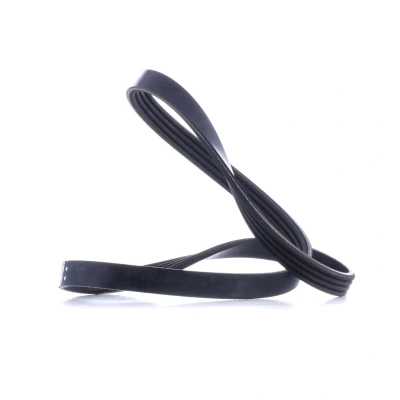 Image of 11287809801, 64557809801 V ribbed belt FEBI BILSTEIN 40716 BMW: X5, 5 Saloon, Touring