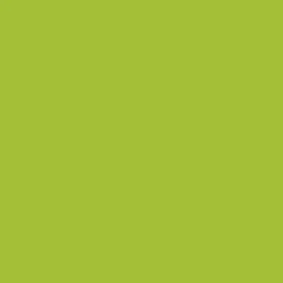 Image of Intense Green A4 Coloured Craft Paper 80gsm x 50 Sheets