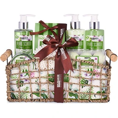 Image of BRUBAKER Bath and Shower Set Aloe Vera 13 Piece Gift in Decorative Basket