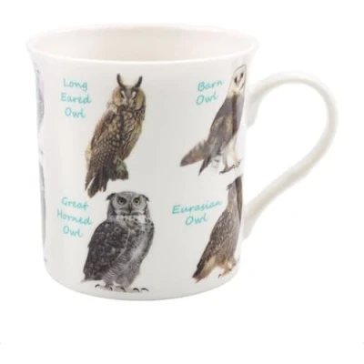 Image of lesser and pavey LP95167 Ceramic Mug Owl Species design 1 Pc, Multi