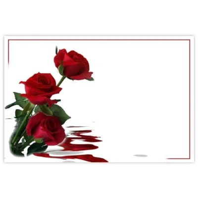 Image of celloexpress Blank (3 Red Roses) Flower Message Cards 60mm x 90mm Florist Card Gift Notes (Pack of 50)