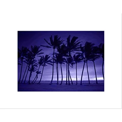 Image of Wee Blue Coo PURPLE SILHOUETTE TALL PALM TREE BLACK FRAME FRAMED ART PRINT PICTURE B12X8841