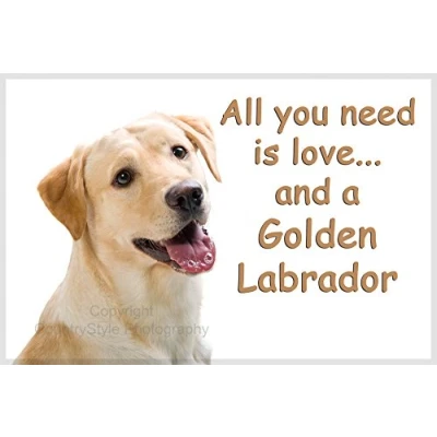 Image of Golden Labrador Fridge Magnet All you need is love...