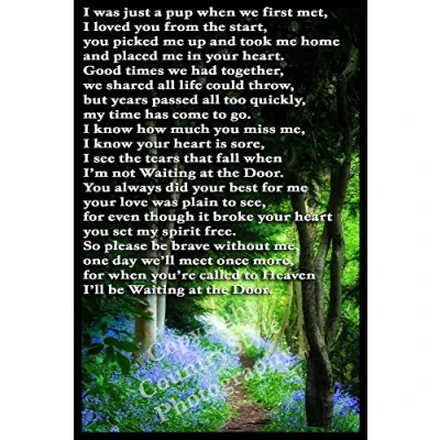 Image of Pet Loss Bereavement Gift Flexible Fridge Magnet Dog Memorial Waiting at the Door