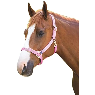 Image of Shires Adjustable Pony/Horse Headcollar Pink Extra Full