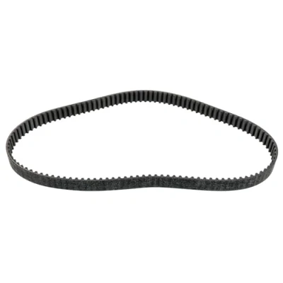Image of 00816K8, 3553131 Timing Belt BLUE PRINT ADBP750006 116 25mm FORD: FOCUS 3, Mondeo 4, 5, PEUGEOT: Boxer Van, 308 I Hatchback, 508 Saloon