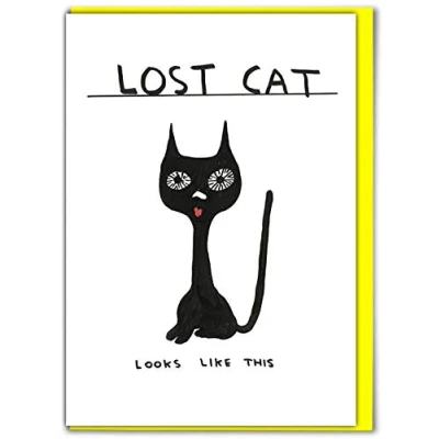 Image of Official David Shrigley Funny Happy Birthday Card &#039;Lost Cat&#039; Perfect for Friends Mates Him Her Boyfriend Girlfriend Partner Sold by Brainbox Candy